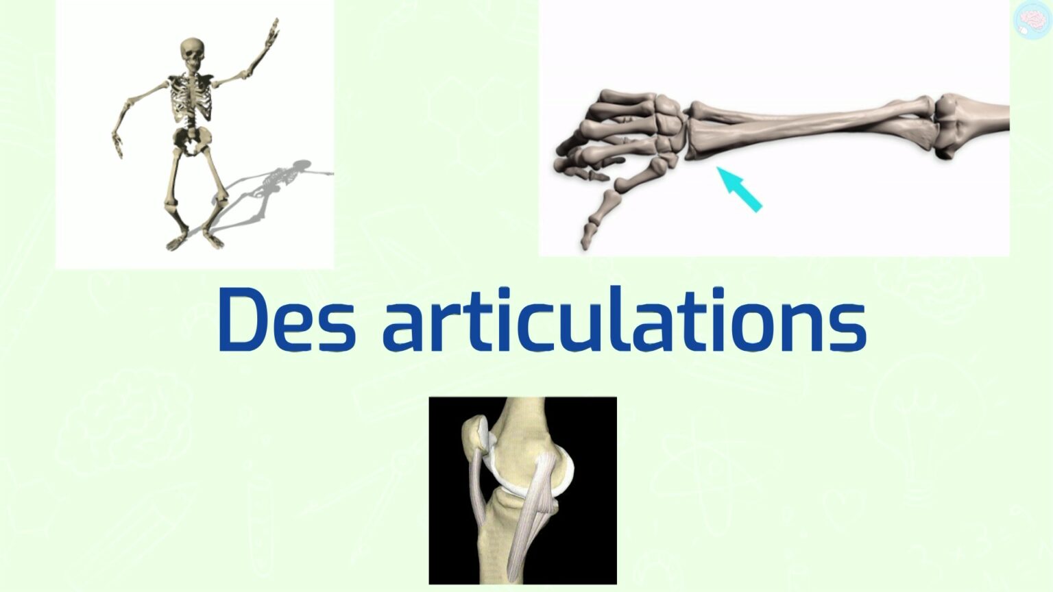 Les Mouvements Corporels CP CE1 CE2 CM1 CM2 - Maître Lucas