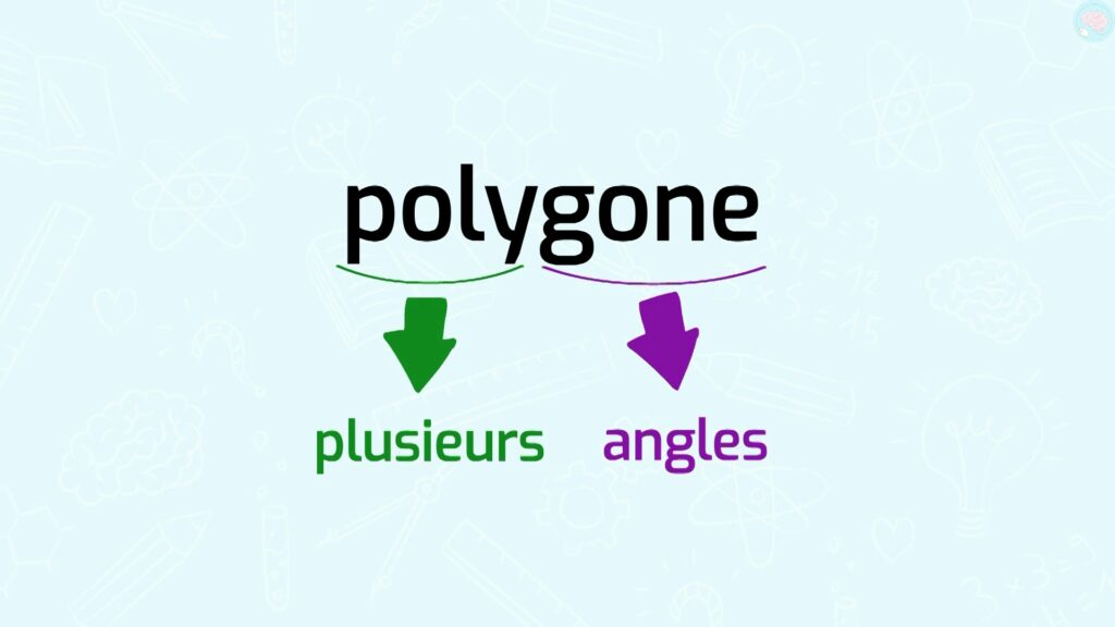 la signification du mot polygone CM1 CM2