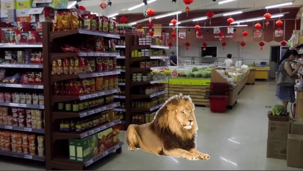 Un lion dans un supermarché