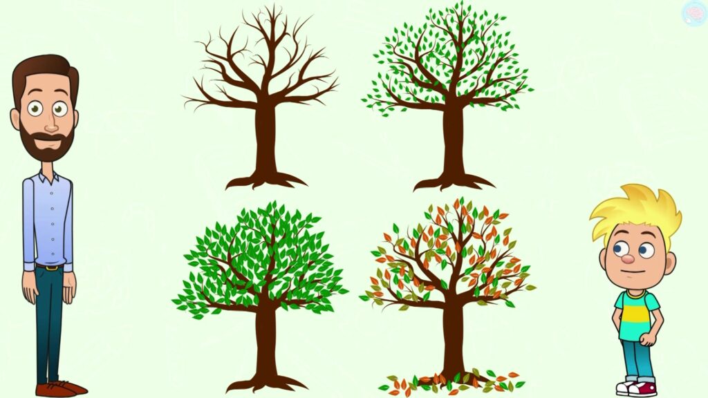 un arbre selon les saisons