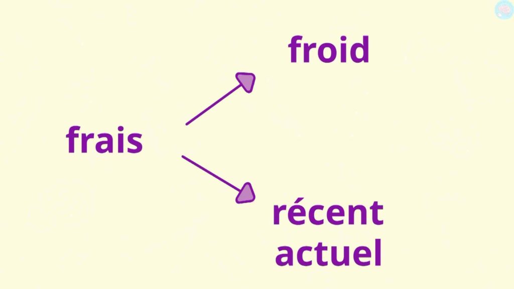 Exemple de synonymes avec plusieurs sens CM1 CM2