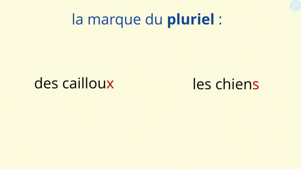 Lettre muette et la marque du pluriel 