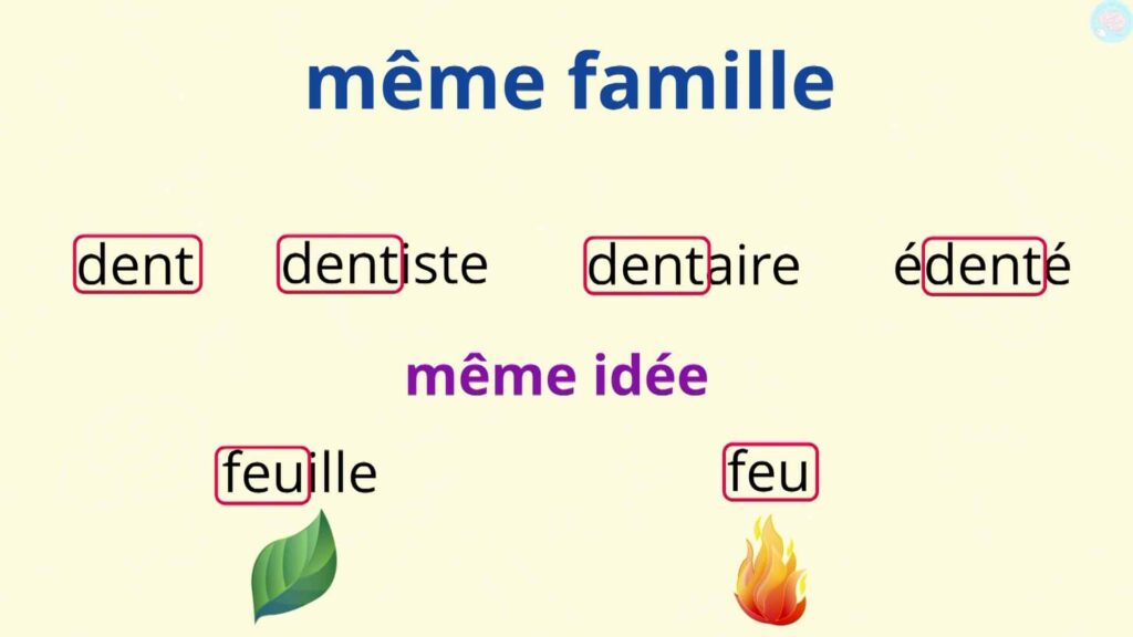 C'est quoi un mot de la même famille ?