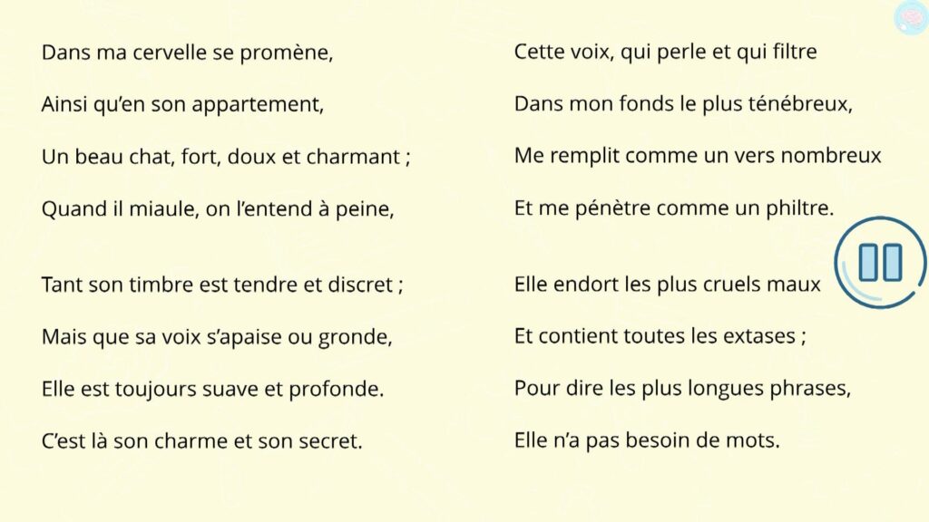 Lire et comprendre un texte poétique CM1 CM2 le chat