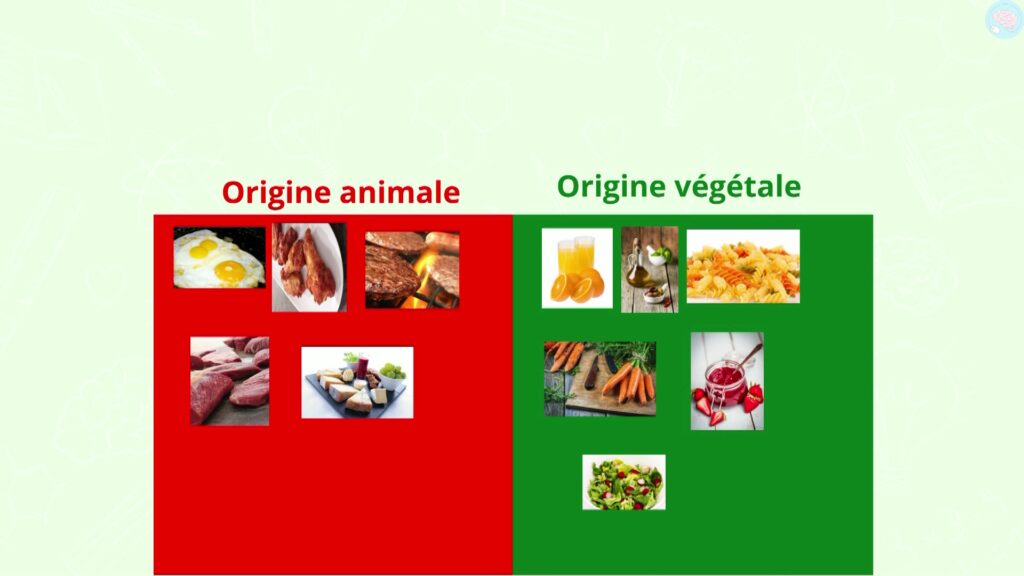 origine animale origine végétale