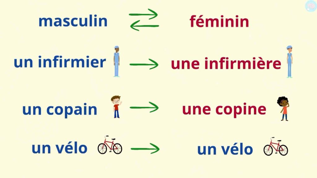 Exemple de mots masculins et féminins