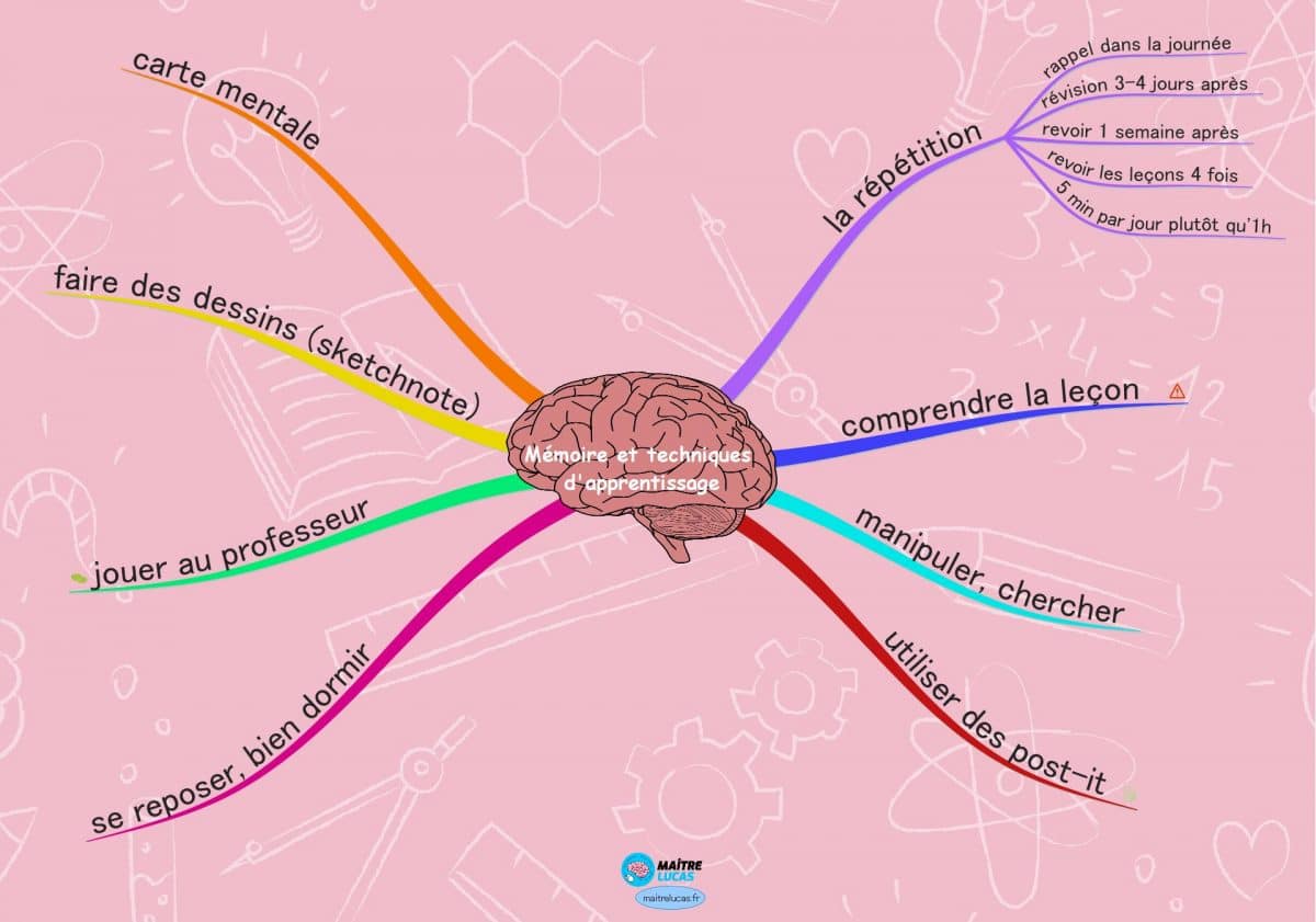 carte mentale mémoire et techniques d'apprentissages