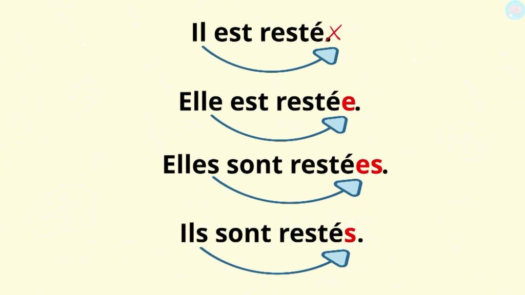 Accorder le verbe au participe passé CM1 CE2
