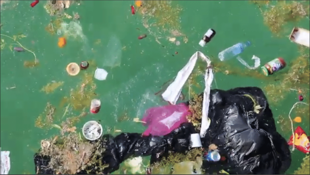 Pollution plastique dans l'océan
