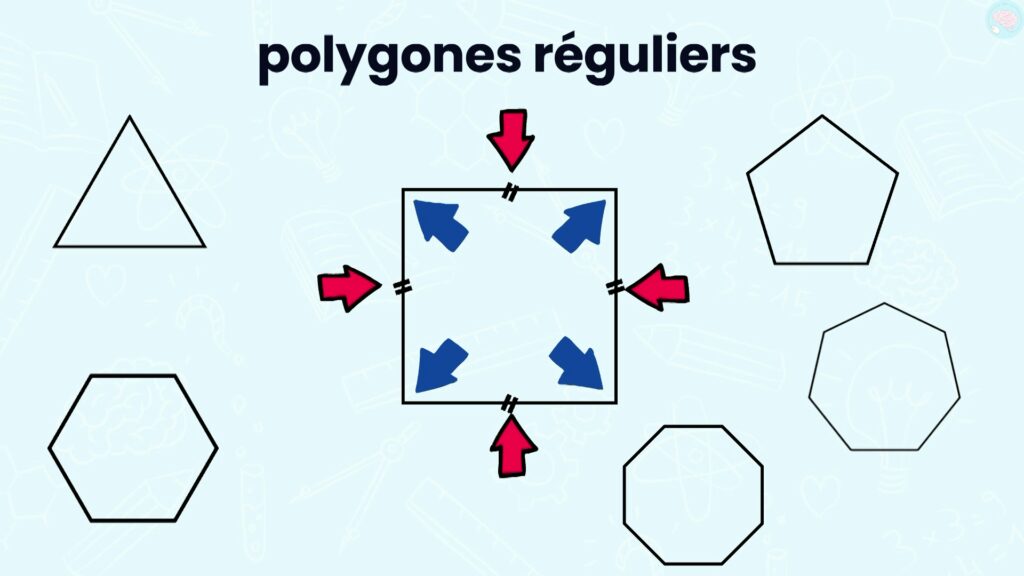 Les polygones réguliers CM1 CM2