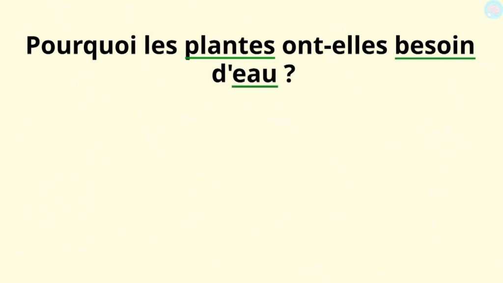 Pourquoi les plantes ont-elles besoin d'eau