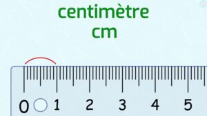 Unités De Mesure : Mm, Cm, Dm Et M CE1 CE2 - Maître Lucas