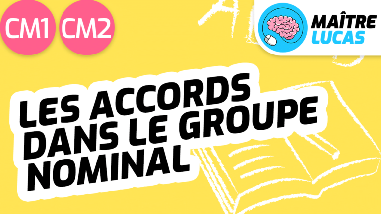 Exercices Laccord Dans Le Groupe Nominal Maître Lucas 3707