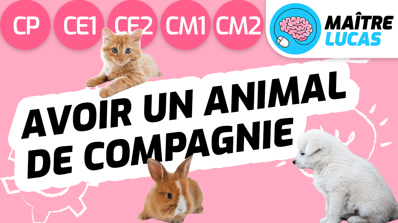 Leçon adopter un animal de compagnie CP CE1 CE2 CM1 CM2