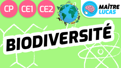 Leçon Biodiversité CP CE1 CE2