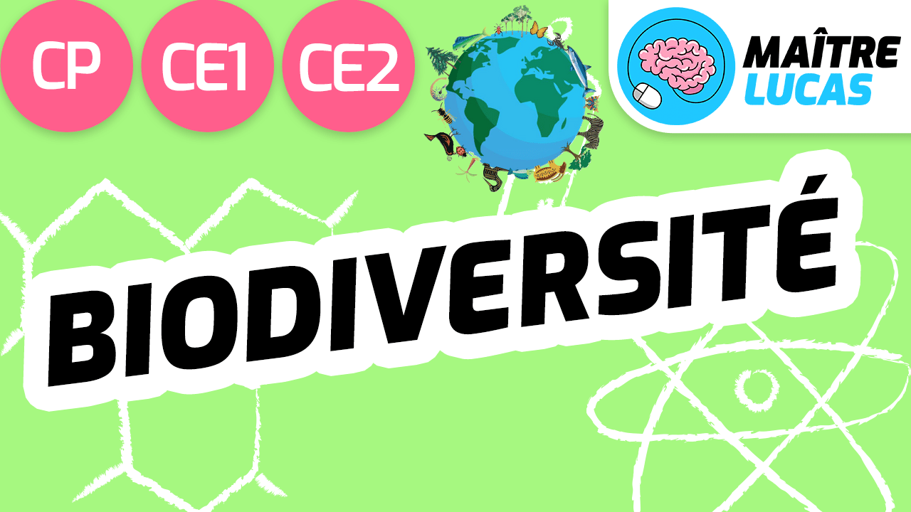 Leçon Biodiversité CP CE1 CE2