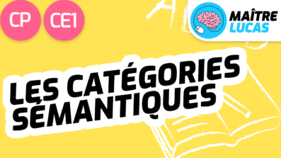 Leçon les catégories sémantiques CP CM1