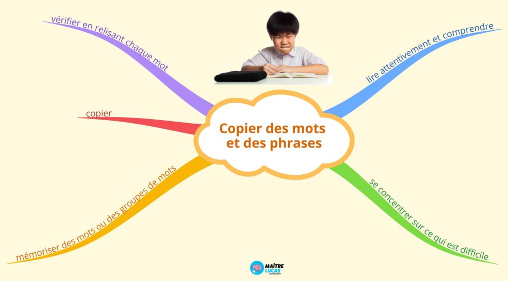 Carte mentales copier des phrases et des mots CE1 CE2