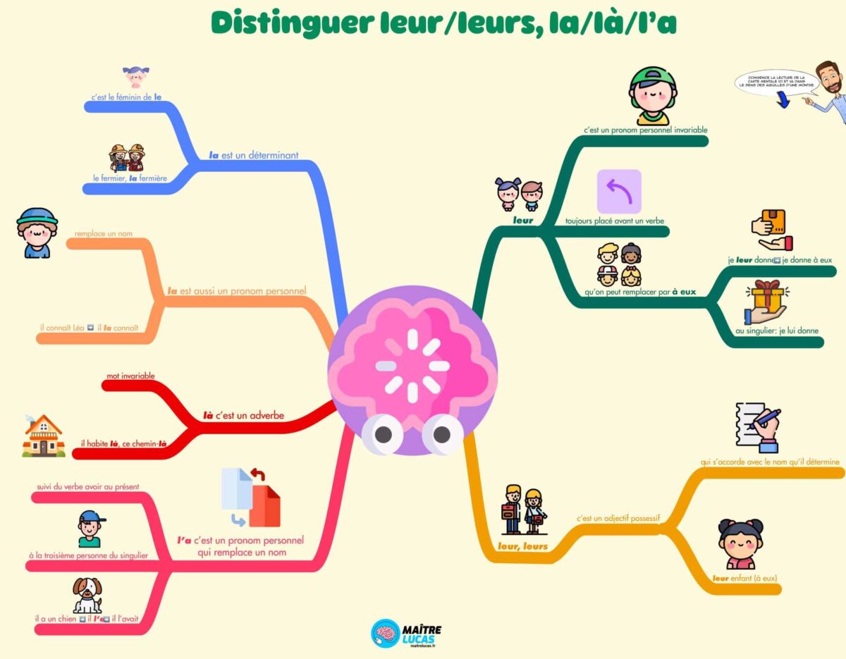 Carte mentale distinguer leur leurs-la la l'a cm1 cm2 cycle 3