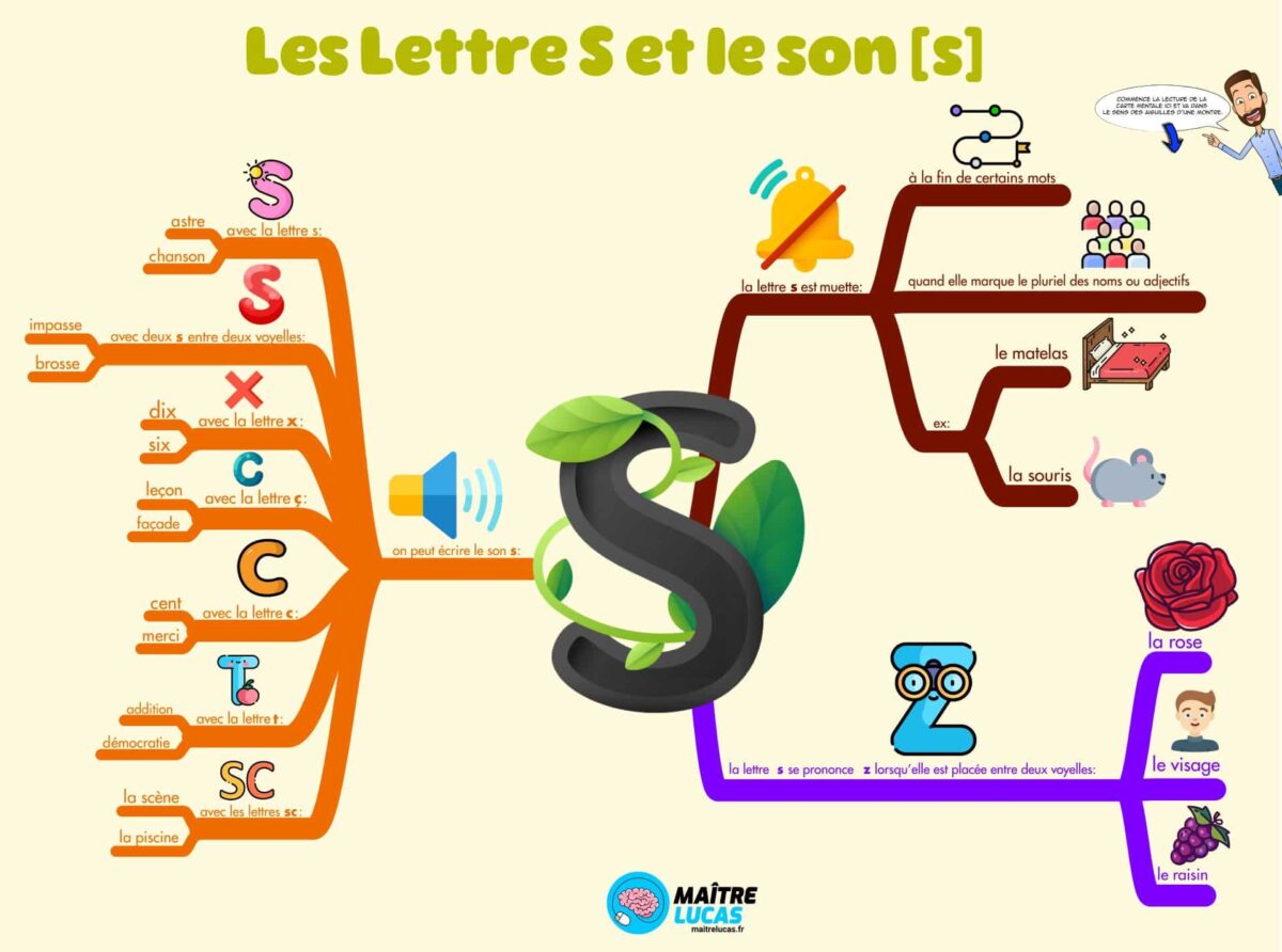 Carte mentale lettre S et le son s cm1 cm2 cycle 3 français