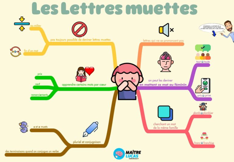 Carte Mentale Les Lettres Muettes Pour CM1 CM2 - Maître Lucas