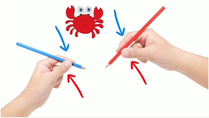 la position du crabe pour bien tenir son stylo