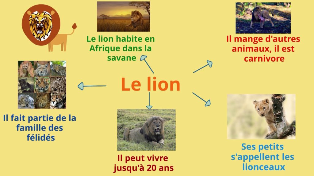 Exemple d'un exposé pour décrire un animal CP CE1