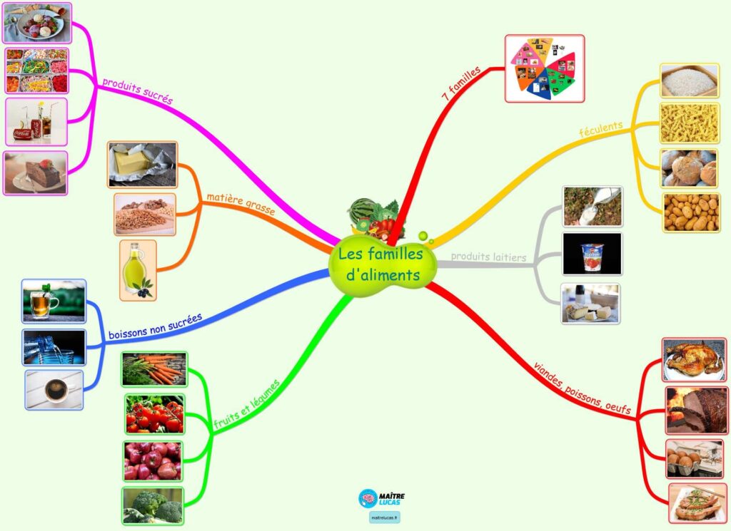 Carte mentale les 7 familles d'aliments