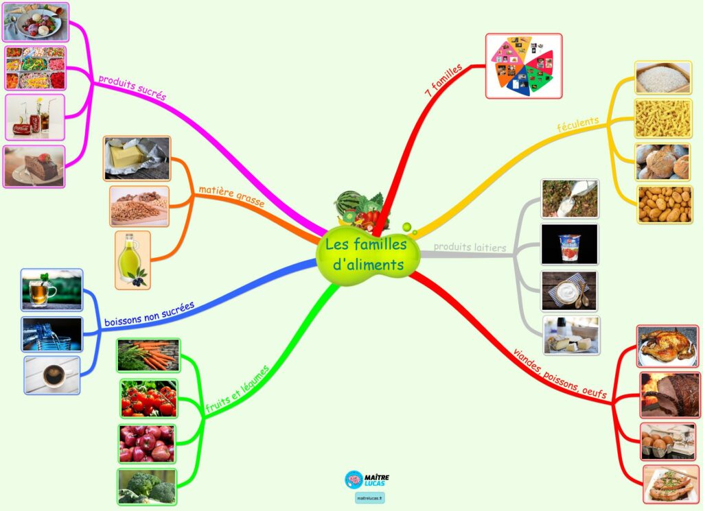 Carte mentale les 7 familles d'aliments CE1 CE2 CP