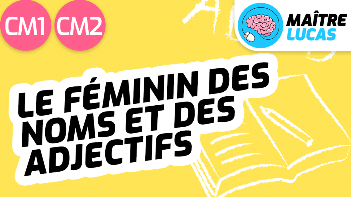 Exercices Le Féminin Des Noms Et Des Adjectifs - Maître Lucas