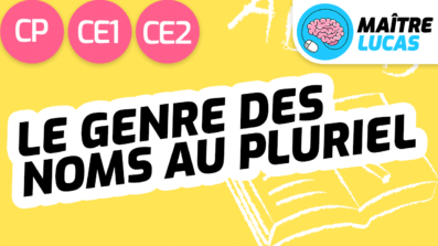 Leçon le genre des noms au pluriel CP CE1 CE2