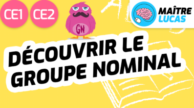 Leçon c'est quoi le groupe nominal CE1 CE2