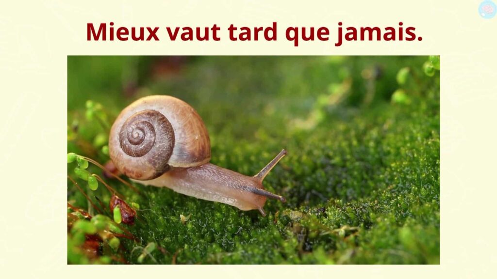 Proverbe mieux vaut tard que jamais