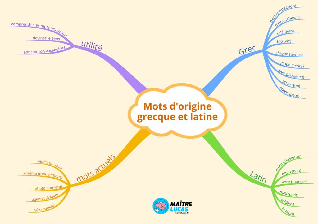 Carte mentale les mots d'origines grecque et latine ce2 cm1 cycle 2 cycle 3 français vocabulaire lexique