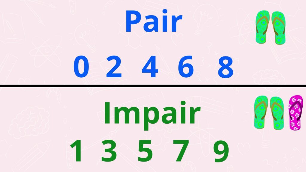 Découvrir si un nombre est pair ou impair CP CE1