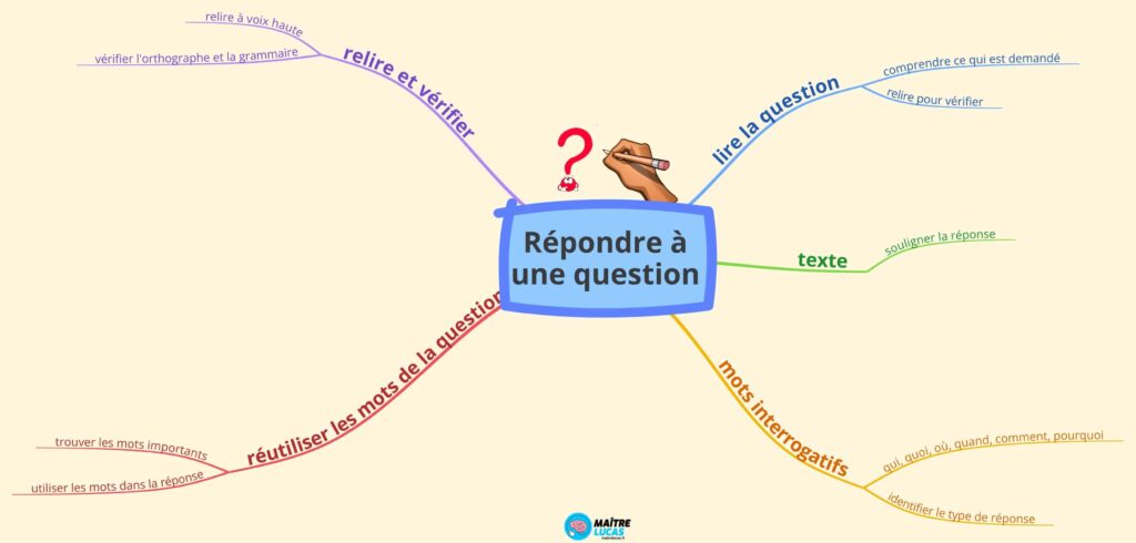 Carte mentale répondre à une question CE2 CM1