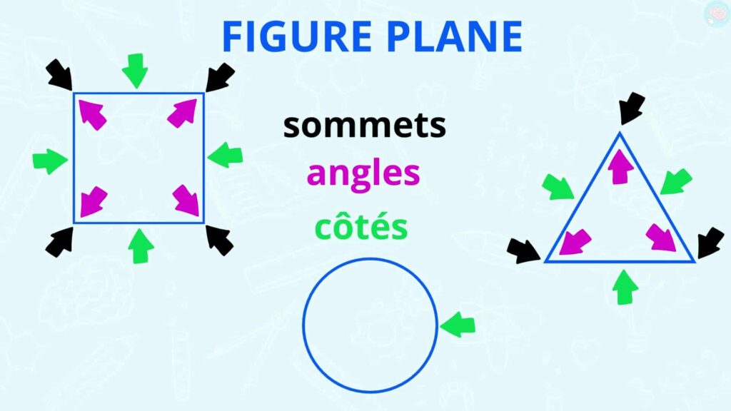 Le vocabulaire géométrique : la figure plane